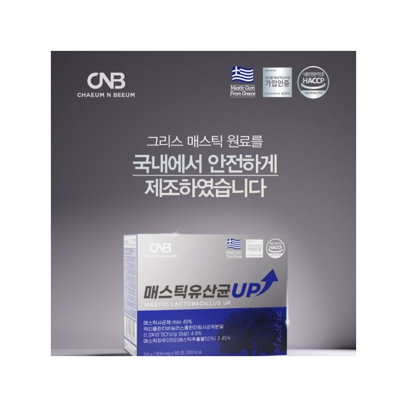 메스틱 매스틱 유산균 브로콜리 양배추 유산균 락티플란티바실러스 플란타럼 사균체 V133