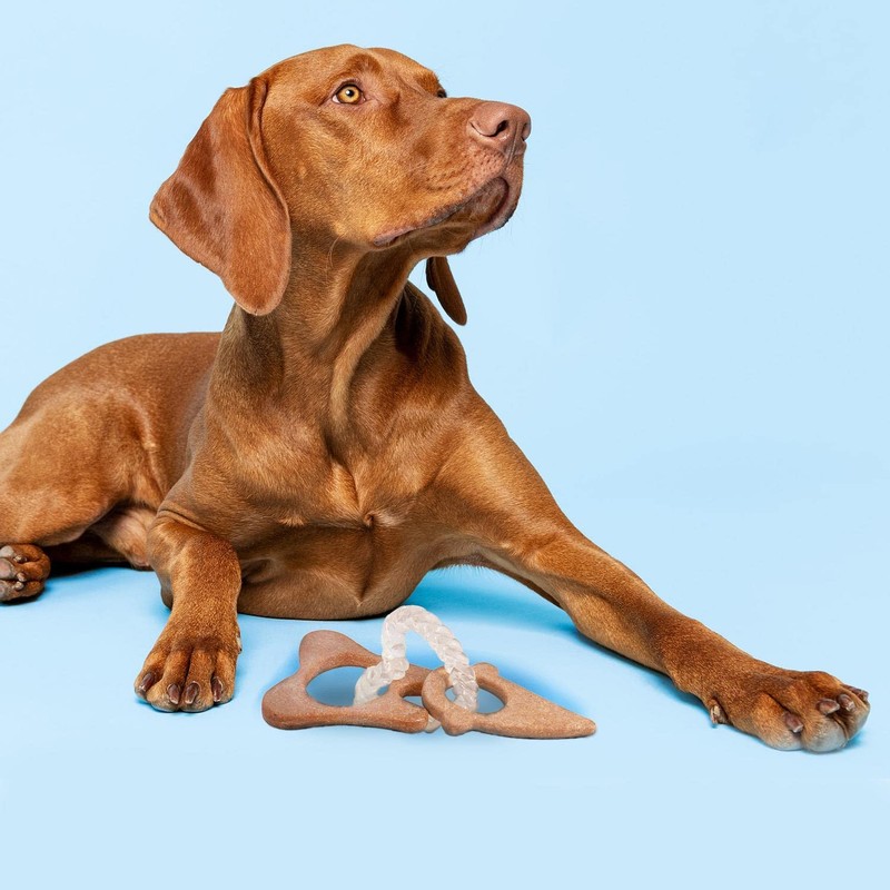 YöL Single Bamboo Pet Dog Chew Toy Strong Durable Dental