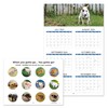 Calendar 2025 - Dogs Pooping Calendar 2025, funny Dog Calendar