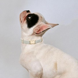 YUDOTE Ultra Soft Dog Collar Made of Natural Cotton with Twilled Fabric for Medium Dogs with Sensitive Skin, Grey