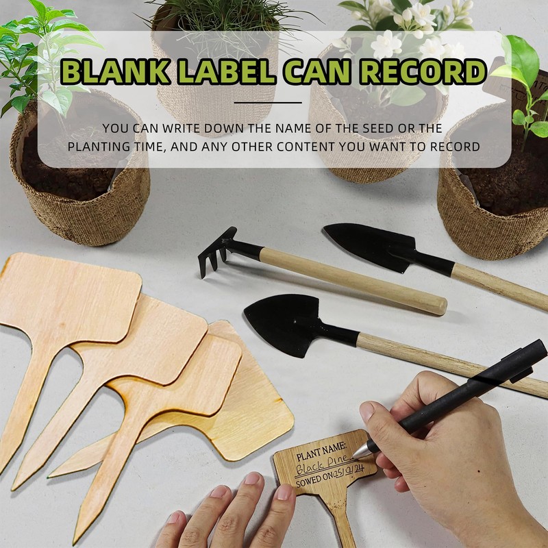 Premium Bonsai Kit,Complete Bonsai Starter Kit with Wooden Gift Box,repotting