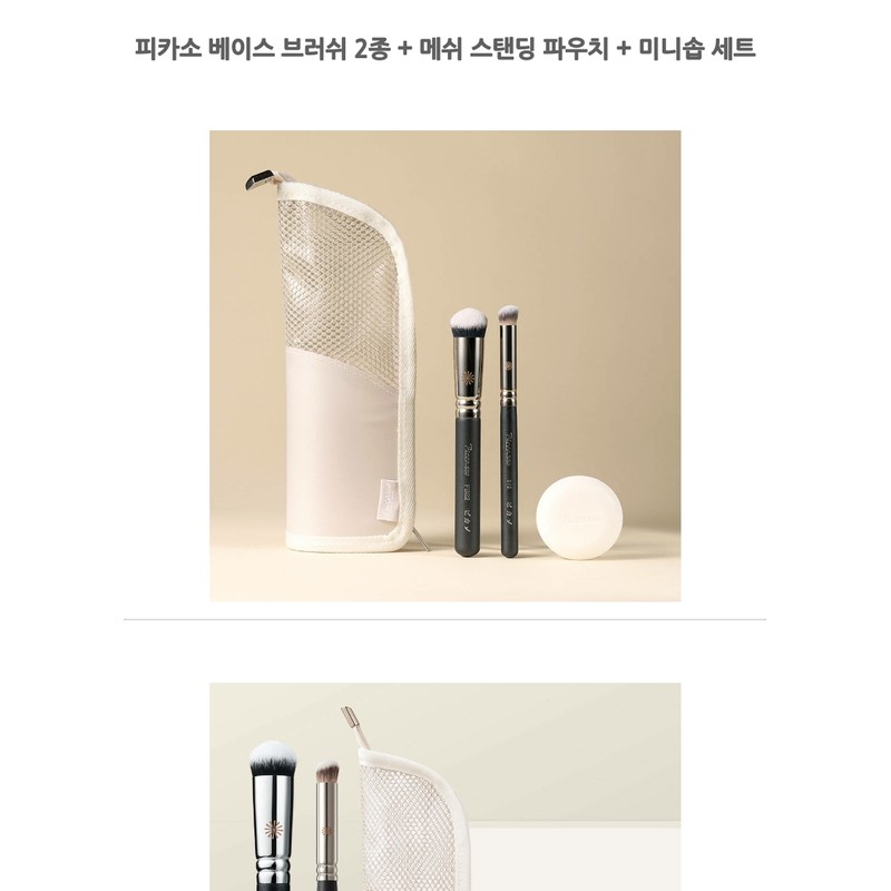 PICCASSO 2 types of Picasso base brushes + mesh standing