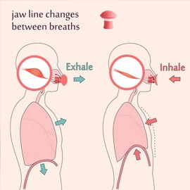 Jawline Trainer Jaw Saver, Jaw Trainer and Double Chin Remover, Face Exerciser, Face Trainer, Jaw Trainer for Men and Women, Pack of 3