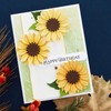 Plant Coneflower Metal Die Cuts, Flowers Leaves Daisy Sunflower Frame