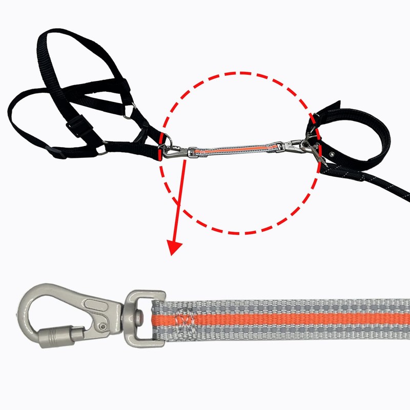 Heavy Duty Double Ended Collar Backup Clip for Dog Harnesses,