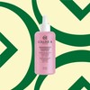 Collistar Super Concentrate, Elasticating, Evenly Day Night, Intensive Treatment for