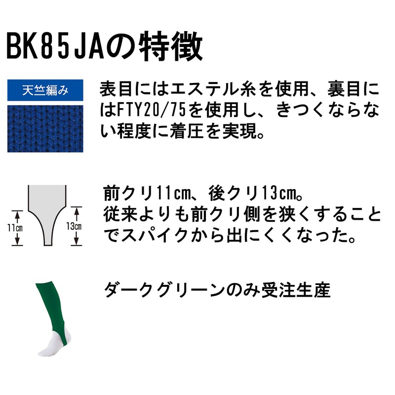 Zett BK85JA Boys Baseball Stockings (Low Cut)