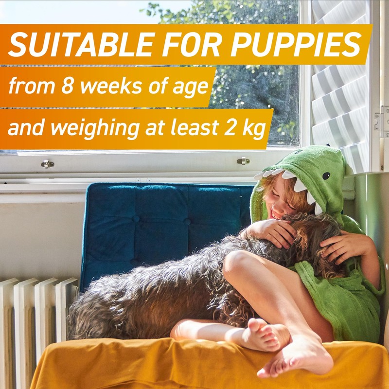 FRONTPRO FRONTPRO? Chewable Tablets Flea & Tick Treatment for Dogs