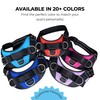 ShawnCo Essential Dog Harness, No-Pull Pet Vest with 3 Leash