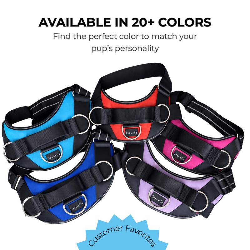ShawnCo Essential Dog Harness, No-Pull Pet Vest with 3 Leash