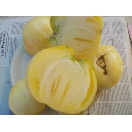 BEEFSTEAK 120+ Great White Tomato Beefsteak Seeds - Heirloom - Organic - NON GMO ---- RARE