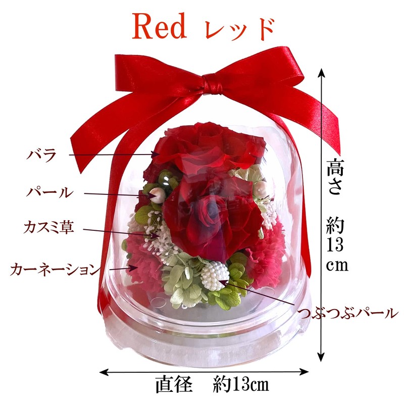 Florist Mann Preserved Flowers, 60th Birthday Celebration, Women, Red, Mother,