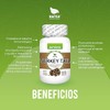 NATSA Turkey Tail, Cola de Pavo 100 cápsulas, Adaptogeno calidad