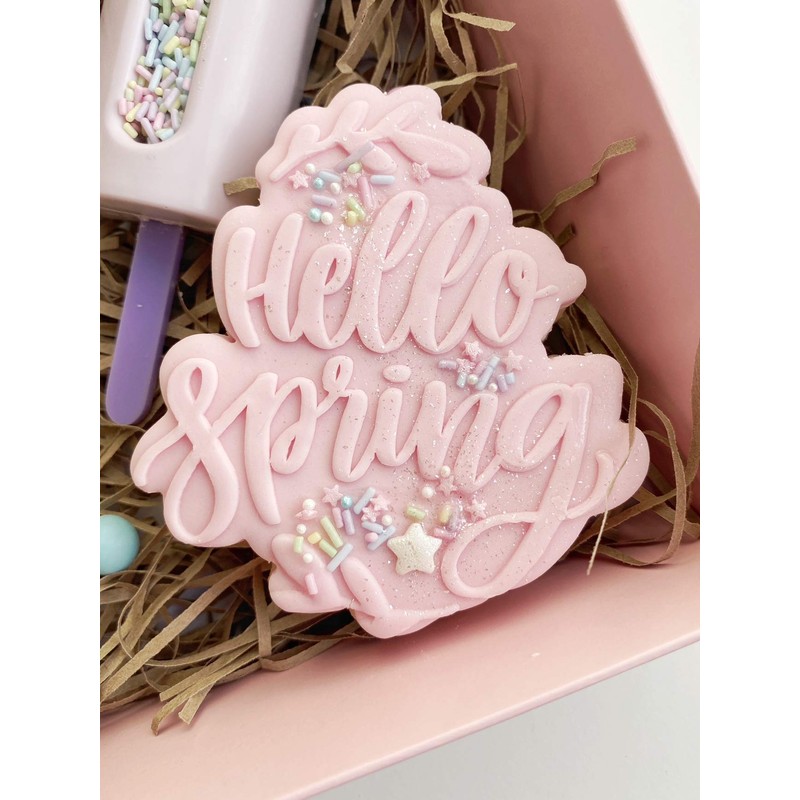 LissieLou Hello Spring Cookie Cutter and Embosser Easter Icing Stamp