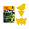 ByeFly Fruit Fly & Gnat Traps 30 Pack - Non-Toxic