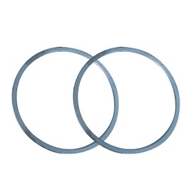 IBESTWOLF DPF Gasket Diesel Particulate Filter Compatible with International Trucks, Replace OEM# 6749008, 2594129C1, 2 Pack