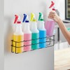 Up to Five 32 oz Spray Bottle Rack – Wall