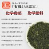 Chiran Tea Organic Green Tea Bag Tea Japanese Tea Deep
