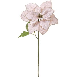 SilksAreForever 30" Glittered Velvet Poinsettia Artificial Flower Stem -Cream/Gold (Pack of 12)