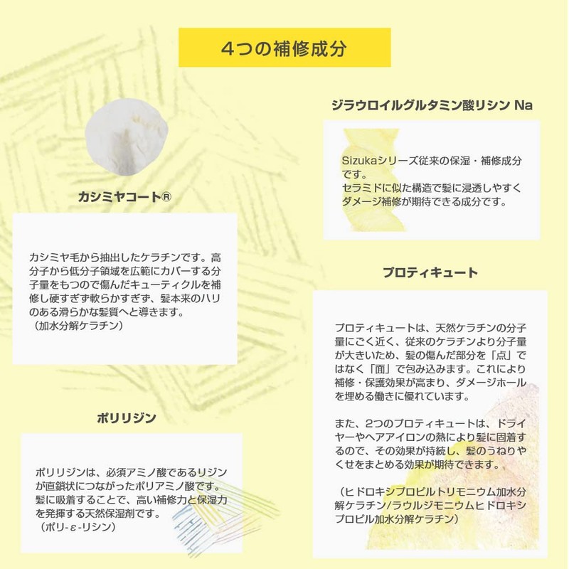 As Style SIZUKA KINU / Shizuka Kino (Shampoo 13.5 fl