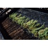 The Jonsteen Company Giant Sequoia | Small Tree Seedling |