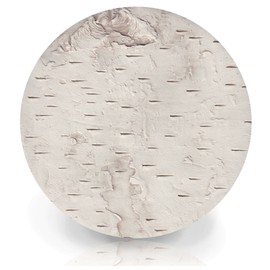 Drink Coasters - Birch Bark - Absorbent - set Handmade by McCarter Coasters for Home - Tabletop Protection - House Warming - Hot or Cold Beverages 4.38" Off-White (4pc)