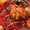 18 Inch Grill Basting Mop Wooden Long Handle with 4