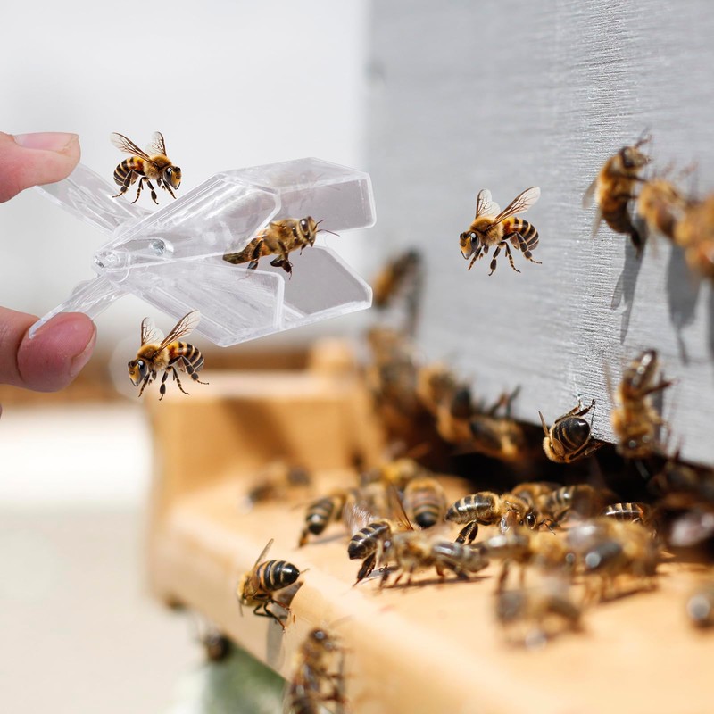 HunterBee 5 Pack Queen Bee Clip Queen Bee Marking Catcher