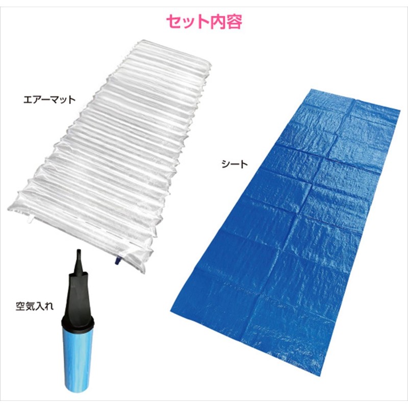 Yamazen YAP-3 Air Matt, Blue Sheet, With Air Pump, Clear