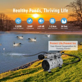 Pond Aerator, 3/4 HP Compressor for Up to 3 Acres,Dual Adjustable Outlets, Timer, Valves. Bubbler Up to 60 Feet Deep, Pond Aerators/Pond Pumps for Outdoor Ponds, 550W