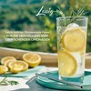 Lessig 500 g Citric Acid Monohydrate E330 Powder - Food