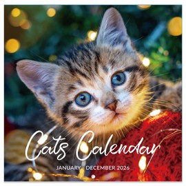 2026 Calendar - Wall Calendar 2026, Jan. 2026 - Dec. 2026, 12" x 24" 2026 Wall Calendar (open), Calendars with Unruled Blocks, Thick Paper - Cutie Cat