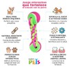 Fancy Pets Juguete Pesa de Tela con Pelotas para Perro