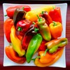 Back to The Roots 100% Organic Seed Packet - Pepper