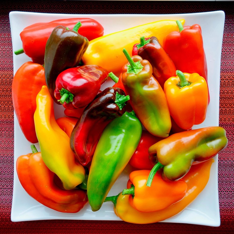 Back to The Roots 100% Organic Seed Packet - Pepper