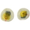 Coghlan´s 139 Device for lighting, Mantles, Double Tie, Package of
