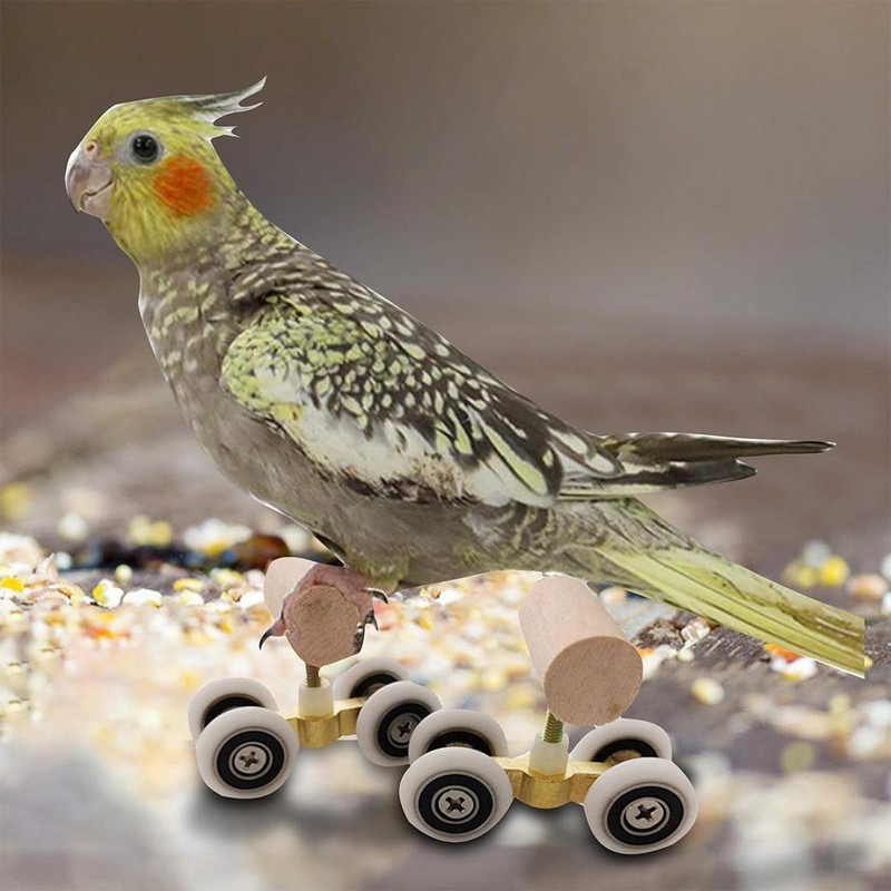AIMALL Parrot Training Toy Pulley Skateboard for Small Birds |