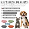 AXEFUN Silicone Slow Feeder Dog Bowl – Sky Blue Bone