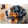 Swiss Bernese Mountain Dog Diamond Art Painting by Number Kits