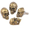 Arenbel Skull License Plate Bolts Fasteners Funny Car Frame Tag