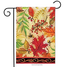 Breeze Art Blaze of Glory Garden Flag #31230