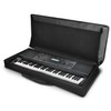 Flexzion Piano Keyboard Gig Bag (61 Key Note) Digital Electronic
