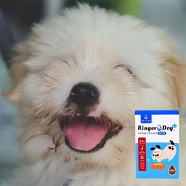 Cat Hydration Supplements 10-Pack Pet Cat IV Fluid IV Gel / 고양이 수분 보충제 10개입 반려묘 링거 수액 링거젤