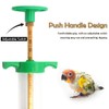 1 Set Small Bird Feeding Syringe Hand Feeding Tubes Kit