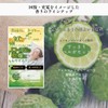 Toyo Chemical Co., Ltd. Nighttime Tape (Refreshing Bergamot), Pack of