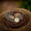 The Bridge Collection Faux Decorative Bird's Egg Nest - Cute
