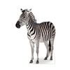 Cardboard People Zebra Life Size Cardboard Cutout Standup