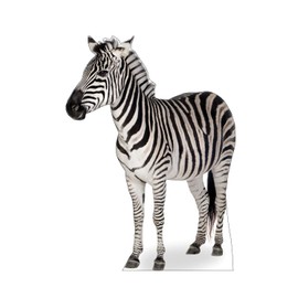 Cardboard People Zebra Life Size Cardboard Cutout Standup