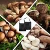 2er-Pack Netztasche Für Pilz, Pilzmesser Mit Bürste, 38.5×25cm Tasche Für