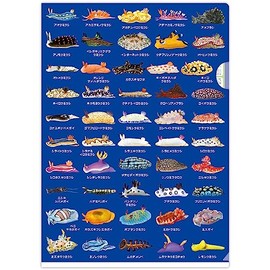 The Access Umiushi Picture Book Clear File A4 Umiushi Encyclopedia